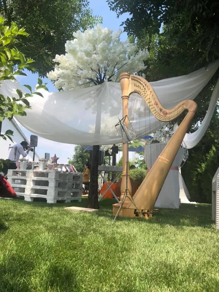Harpă în grădină, între voaluri albe și flori